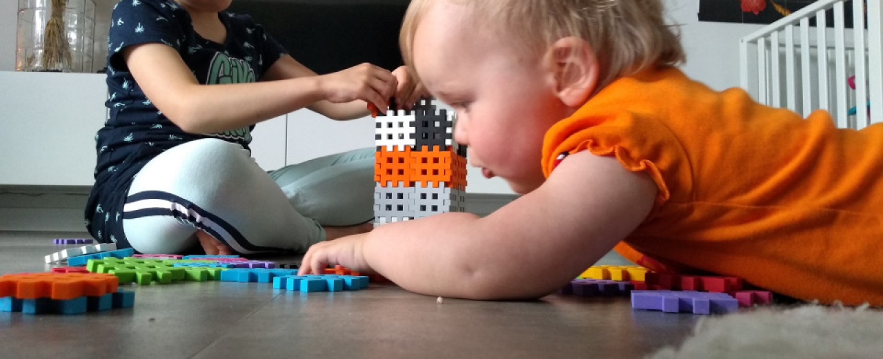 Opinión de Go-or-No-go sobre nuestros gofres de Marioinex